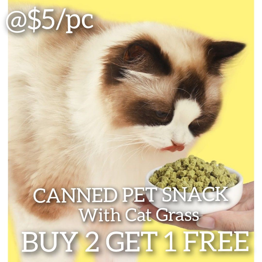 Pc top kitten food