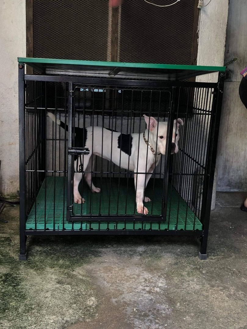 3x3 dog cage online