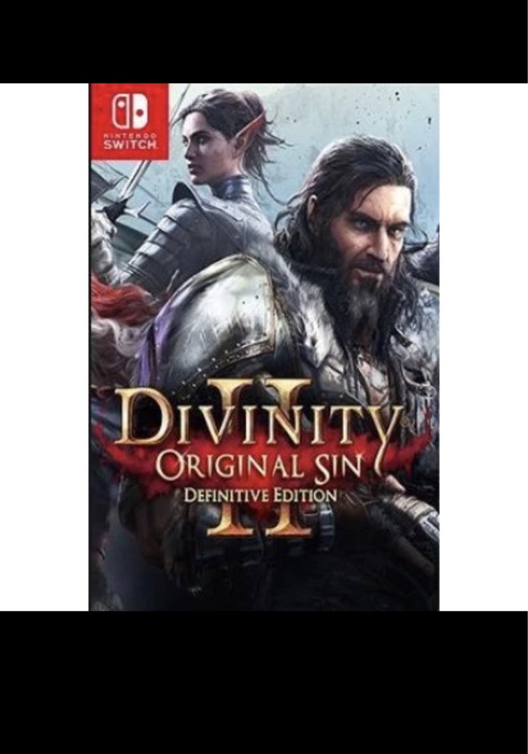 FLASH SALE Divinity Original Sin 2 Definitive Edition Nintendo