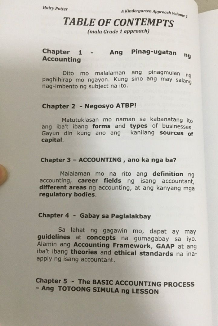 Hairy Potter (Basic Accounting Kindergarten Approach), Hobbies & Toys