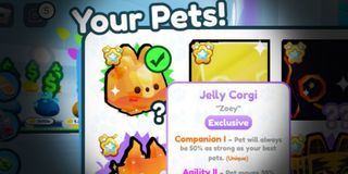 Jelly Corgi Exclusive in Pet Simulator X