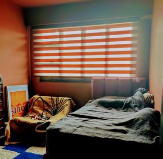 CURTAINS AND BLINDS Collection item 2