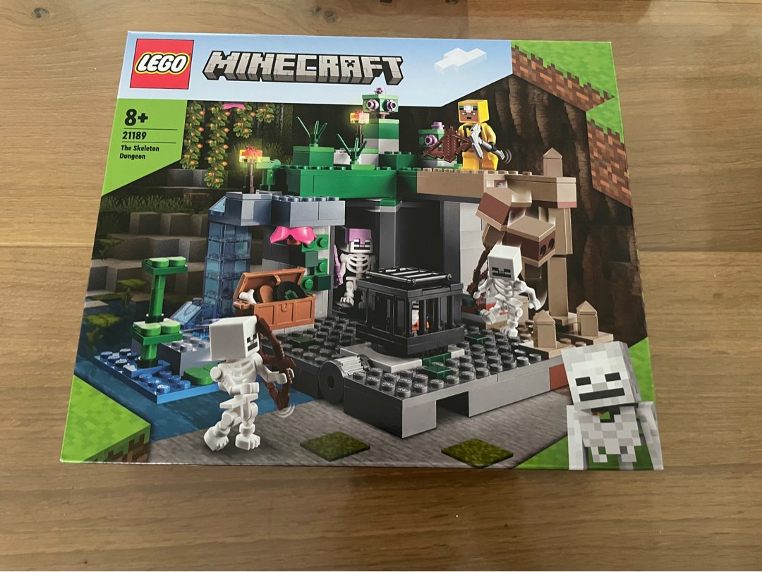 Lego 21189, Hobbies & Toys, Toys & Games on Carousell