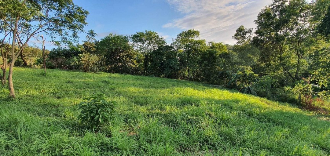 Lot For Sale in Victoria Valley Antipolo Php 11k/sqm, Property, For