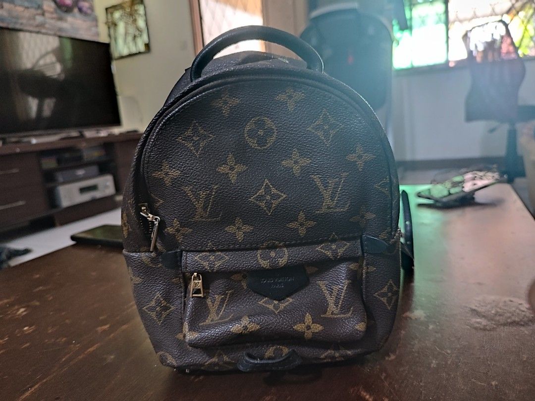 Louis Vuitton Palm Springs Backpack Dhgate