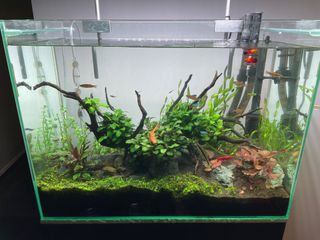 (Category: ) located in . Submitted by sujeyn (Listing ID 1255498343, Image 1). Description: .