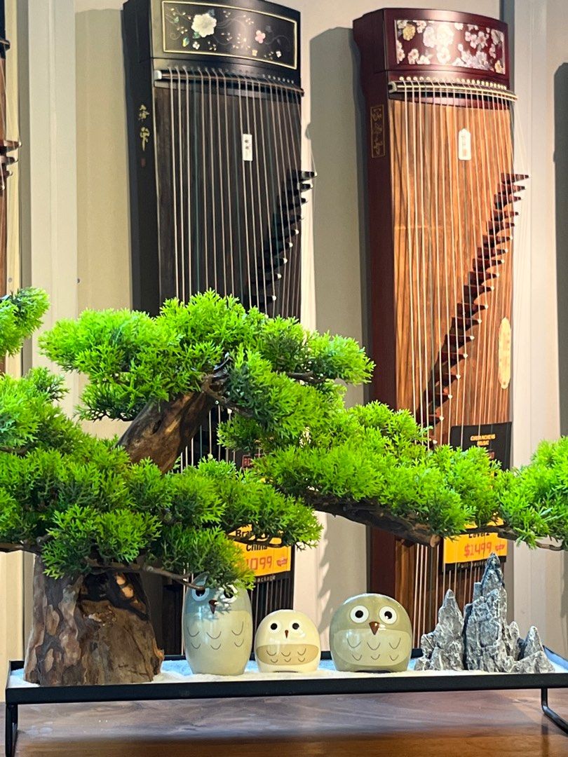 Super Guzheng Guqin store in Singapore, Hobbies & Toys, Music & Media