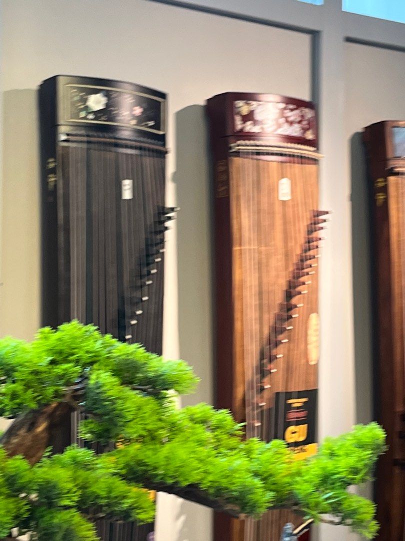 Super Guzheng Guqin store in Singapore, Hobbies & Toys, Music & Media