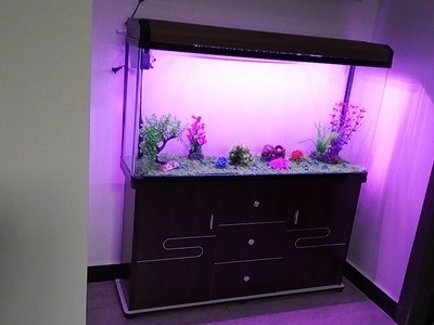 (Category: ) located in . Submitted by renson90 (Listing ID 1255641451, Image 1). Description: .