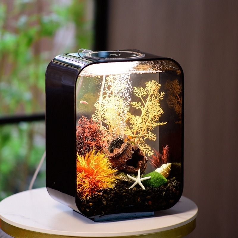 Starter fish tank on sale