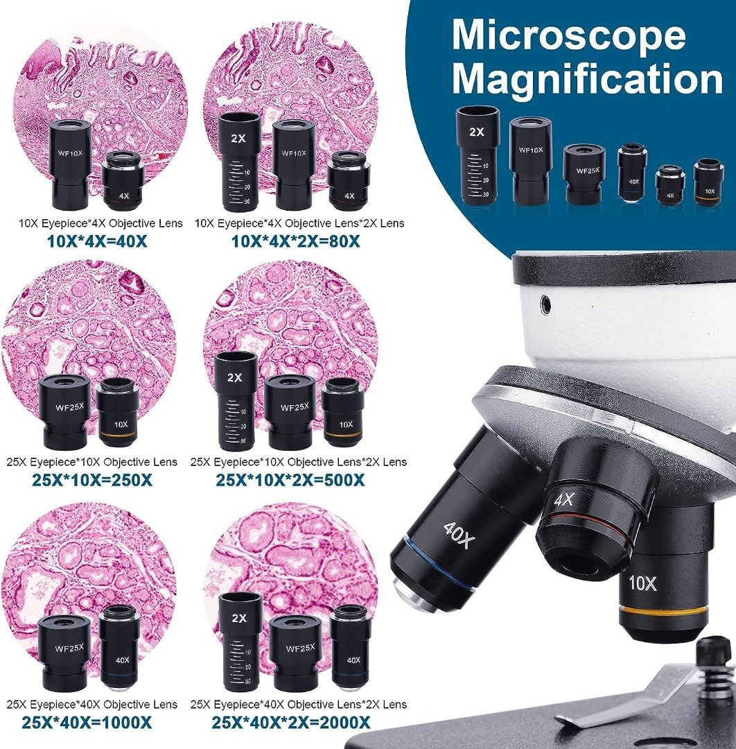 40X-2000X Microscope for Adults Kids Students, Dual LED