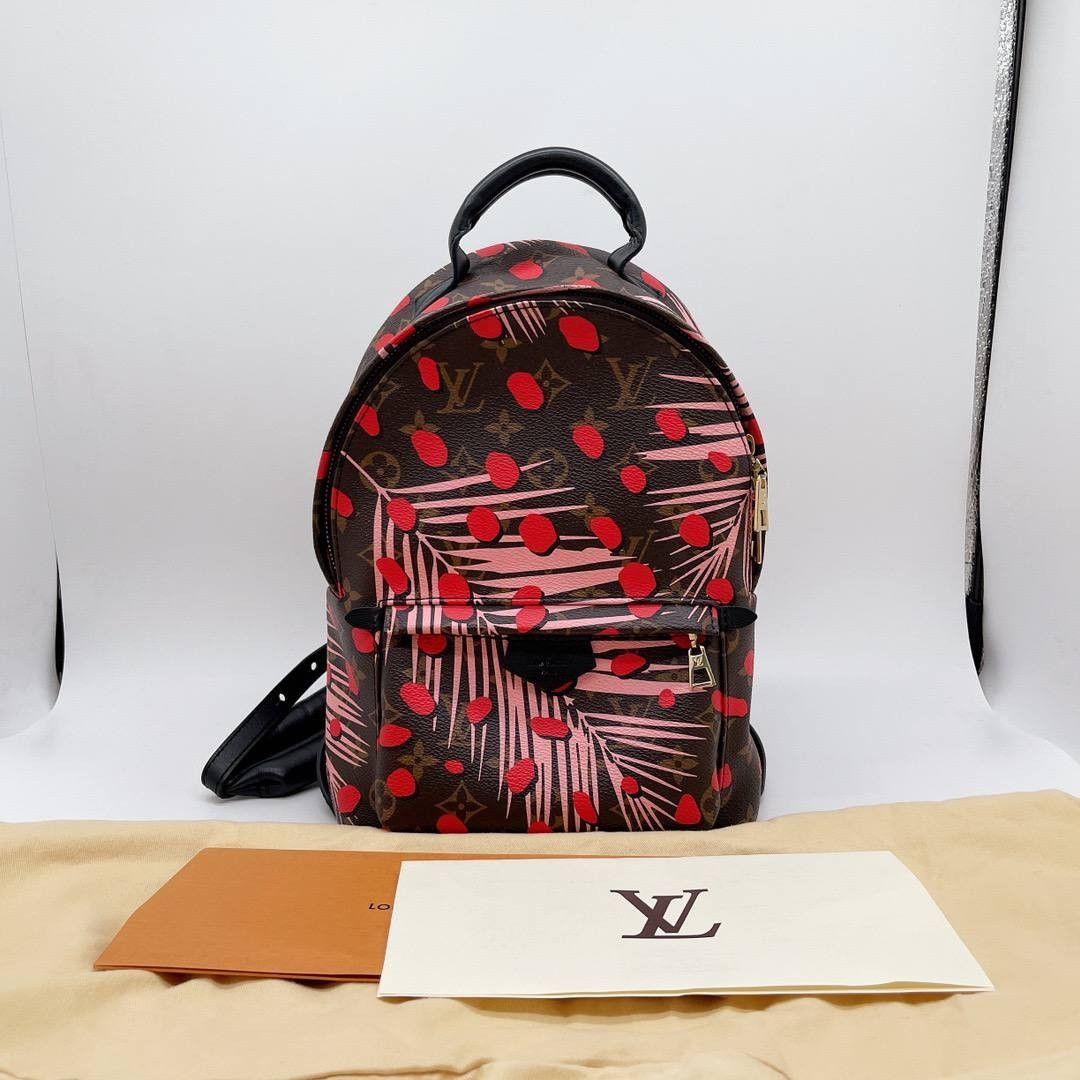 Louis Vuitton Back Pack, Luxury, Bags & Wallets on Carousell