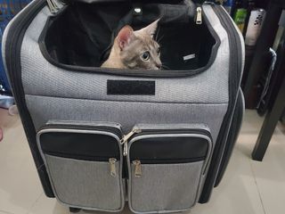 Cat bag Trolley with wheels