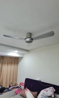 (Category: ) located in . Submitted by ashrafal (Listing ID 1255591863, Image 1). Description: .