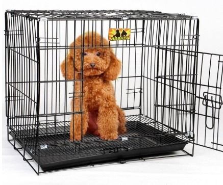 Collapsible pet kennel discount