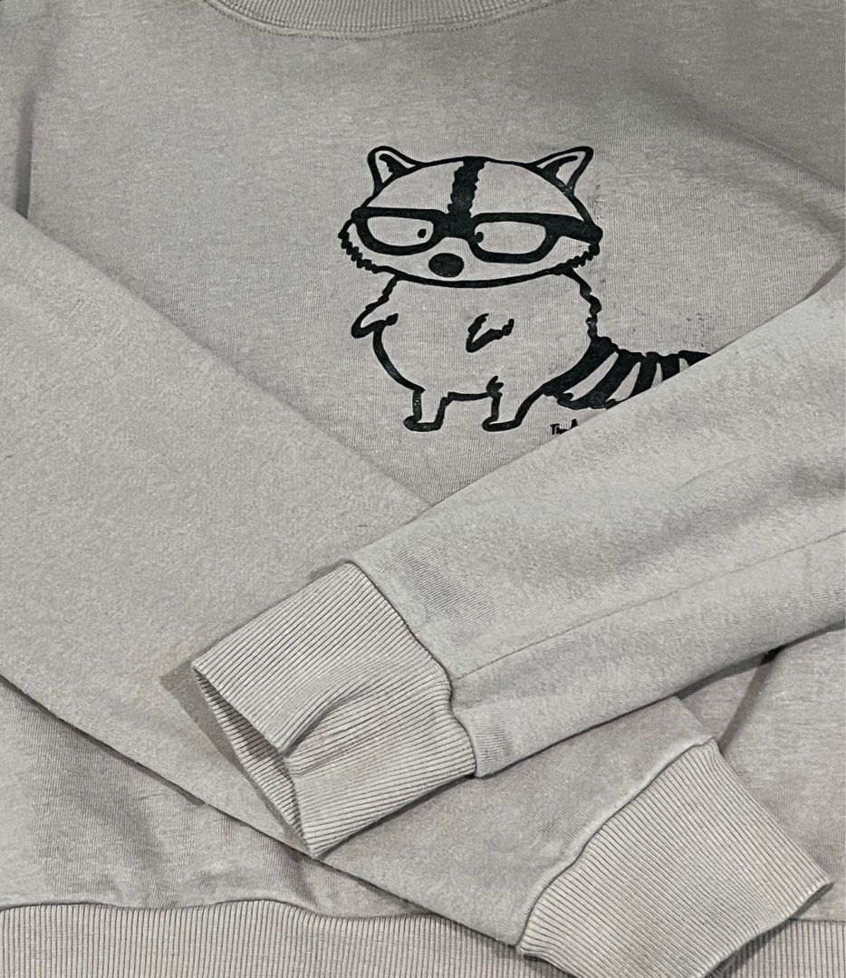 Raccoon sweater new arrivals