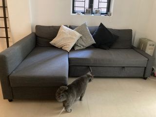 （分類：）位於 。 由 hannahrogbeer 提交（商品編號 1255608836，圖片 1）。簡介： 。