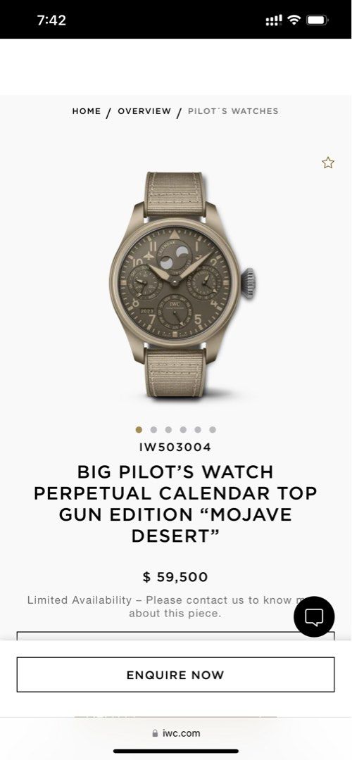 IWC Mojave Desert Perpetual Calendar Luxury Watches on Carousell