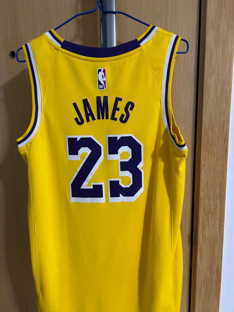 LeBron James Lakers Jersey (Mamba Edition), Men's Fashion, Activewear on  Carousell