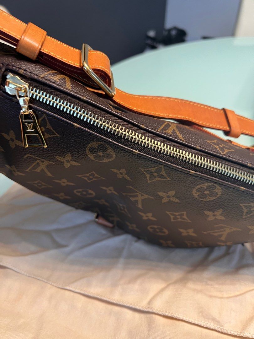Louis Vuitton Bumbag Organizer Bag