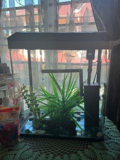 (Category: ) located in . Submitted by wanmxbc (Listing ID 1255615894, Image 1). Description: .