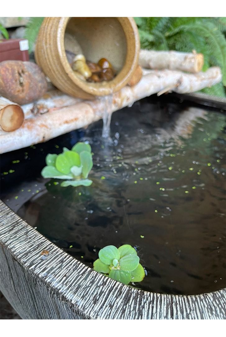Container fish tank sales