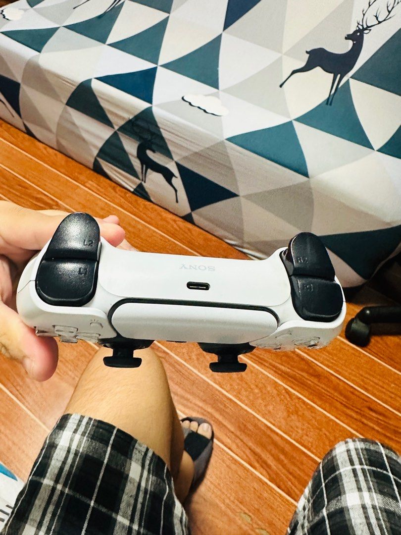 PS5 Dualsense Standard Controller, Video Gaming, Gaming Accessories