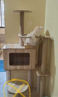 Cat Condo with acrylic glass bowl