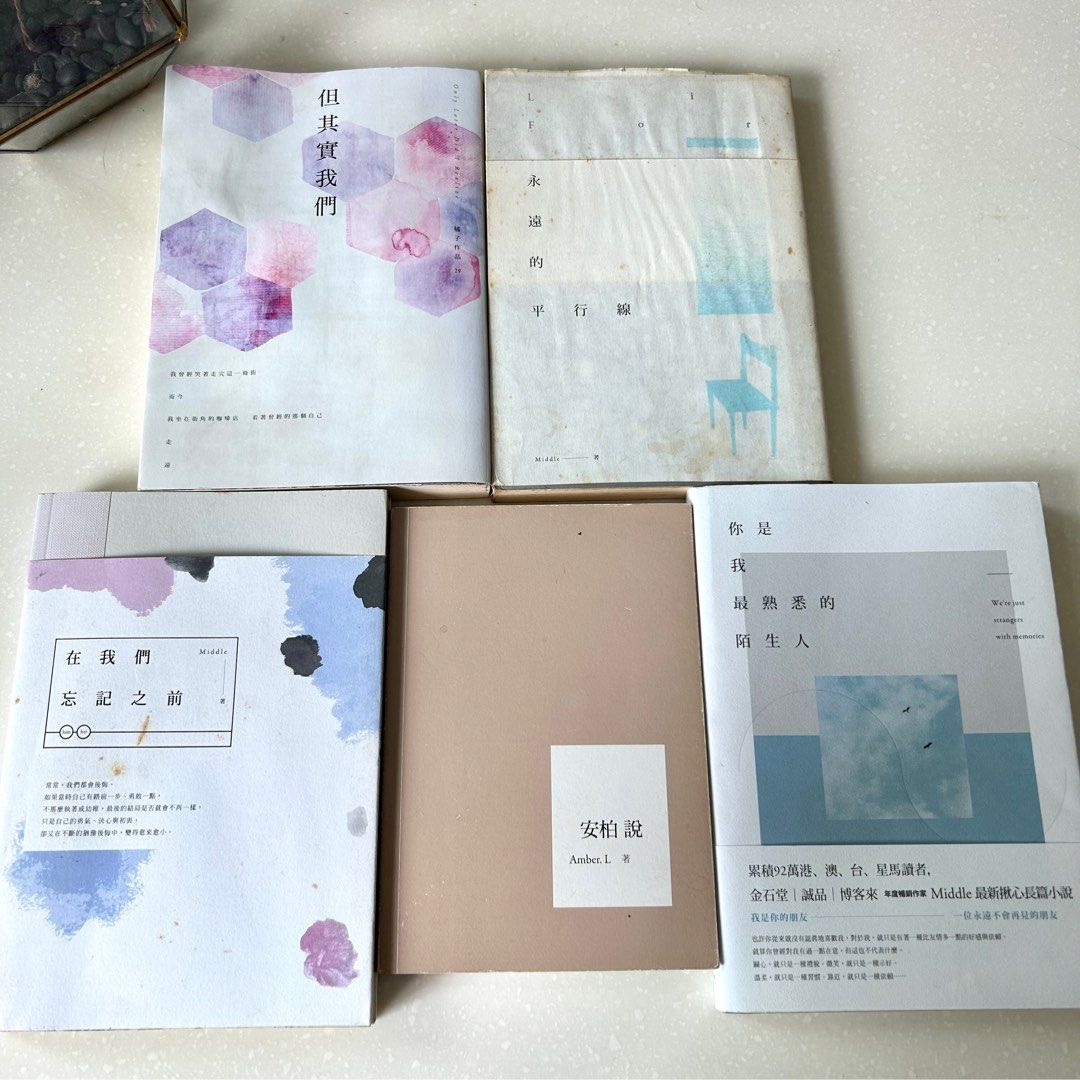 全售安柏說 你是我最熟悉的陌生人 但其實我們 在我們忘記之前 永遠的平行線 輕小說5本一組