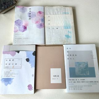 全售安柏說 你是我最熟悉的陌生人 但其實我們 在我們忘記之前 永遠的平行線 輕小說5本一組
