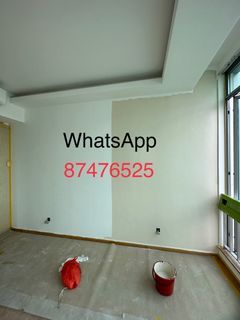 Professional painter 