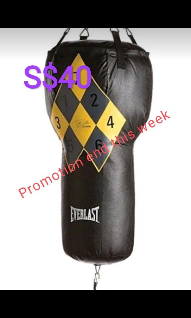 Details 119+ everlast punching bag replacement cover xkldase.edu.vn