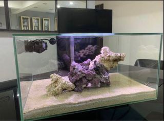 Fish Tank Fluval Edge 23