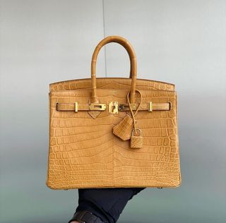 BNIB Hermes Birkin 25 Magnolia Novillo PHW Y Complete Set, Luxury, Bags &  Wallets on Carousell