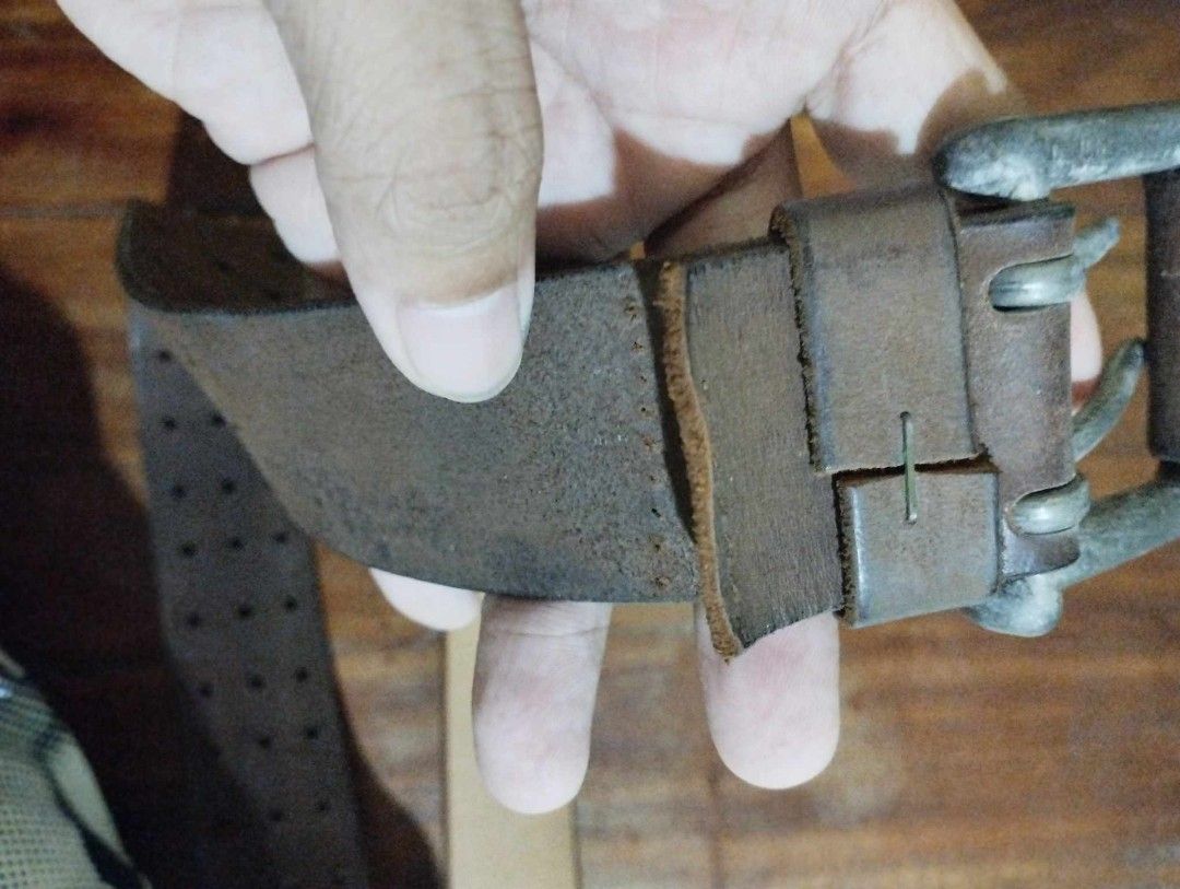 levis belt