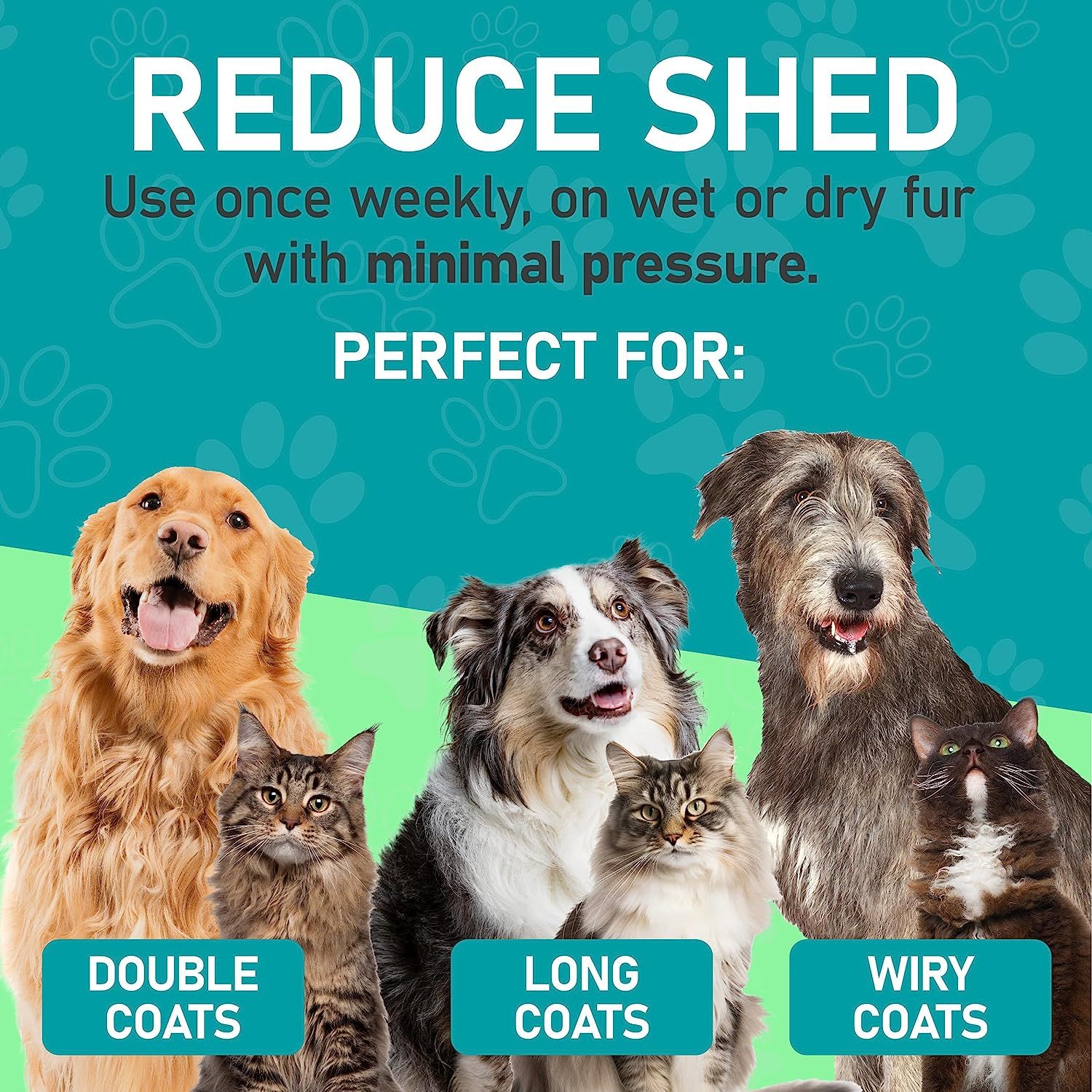Pet planet store dog wash