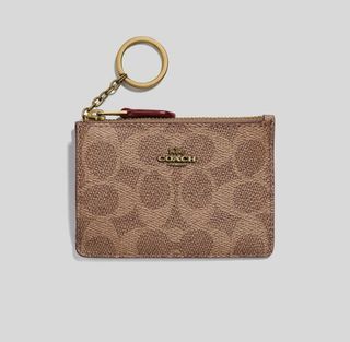 Mini Skinny ID Case in Colourbox