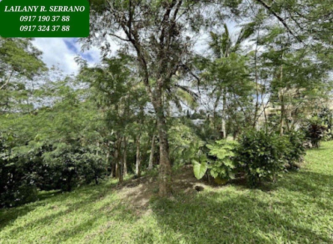 NEW! Tagaytay Overlooking Lot for Sale, Property, For Sale, Lot on