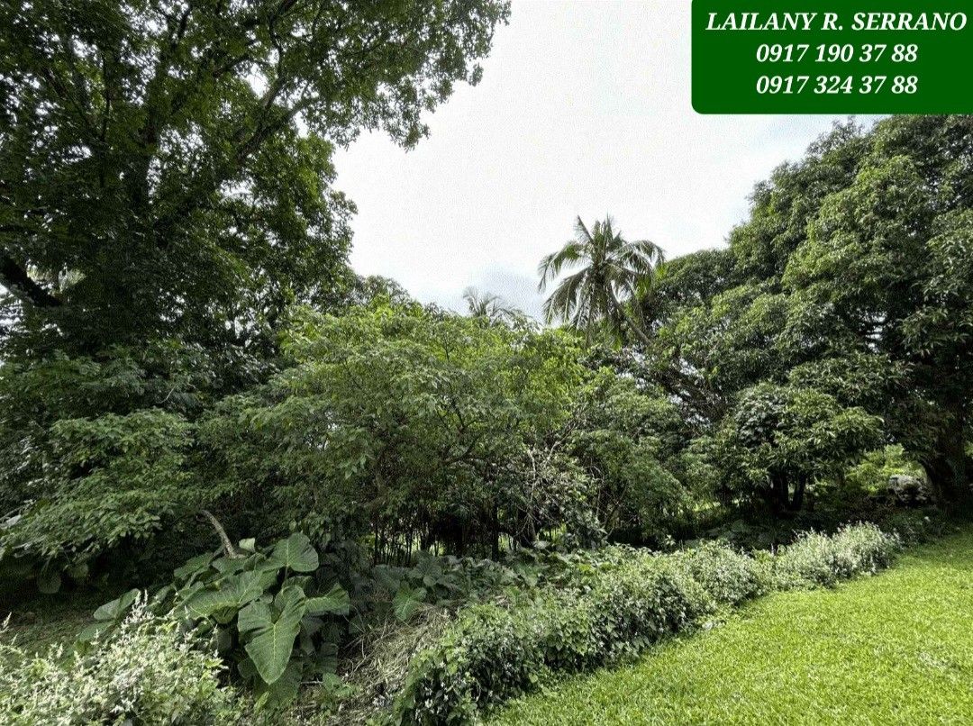 NEW! Tagaytay Overlooking Lot for Sale, Property, For Sale, Lot on