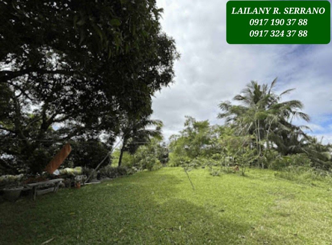 NEW! Tagaytay Overlooking Lot for Sale, Property, For Sale, Lot on