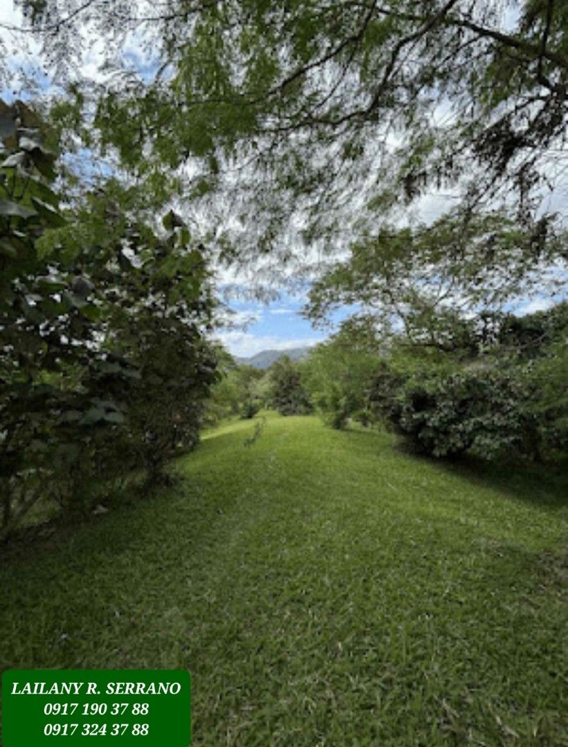 NEW! Tagaytay Overlooking Lot for Sale, Property, For Sale, Lot on