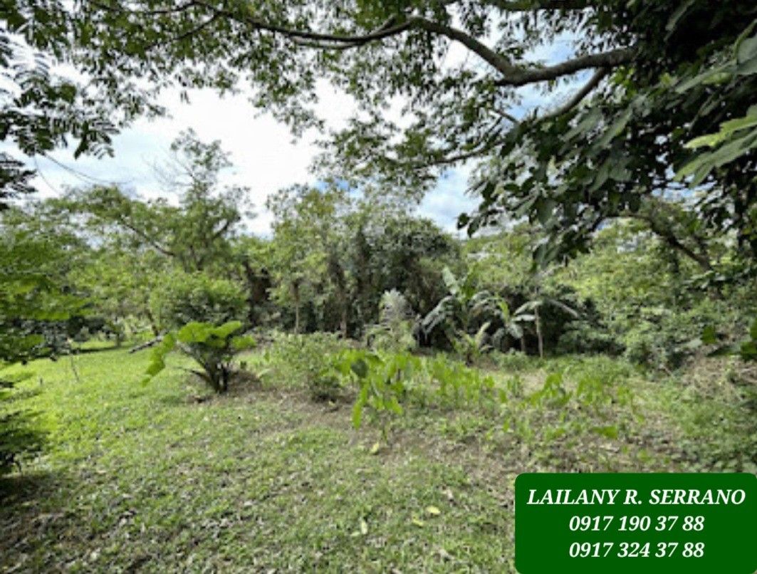 NEW! Tagaytay Overlooking Lot for Sale, Property, For Sale, Lot on