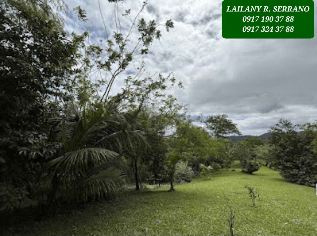 NEW! Tagaytay Overlooking Lot for Sale, Property, For Sale, Lot on