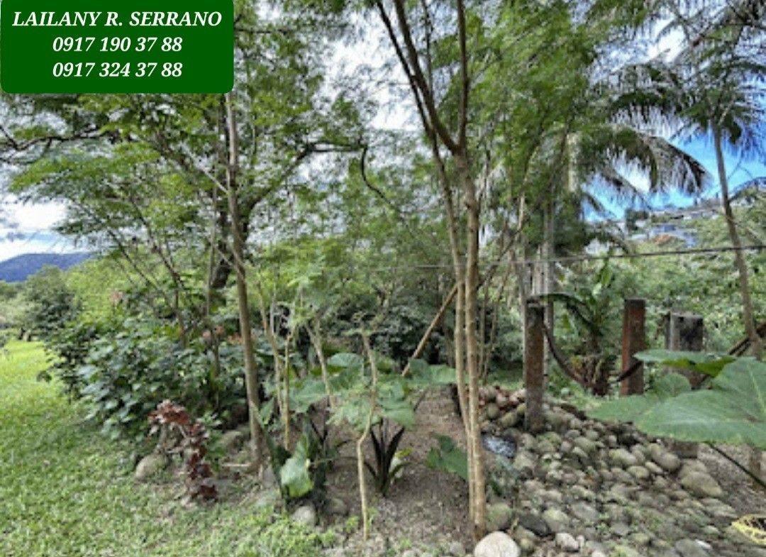 NEW! Tagaytay Overlooking Lot for Sale, Property, For Sale, Lot on