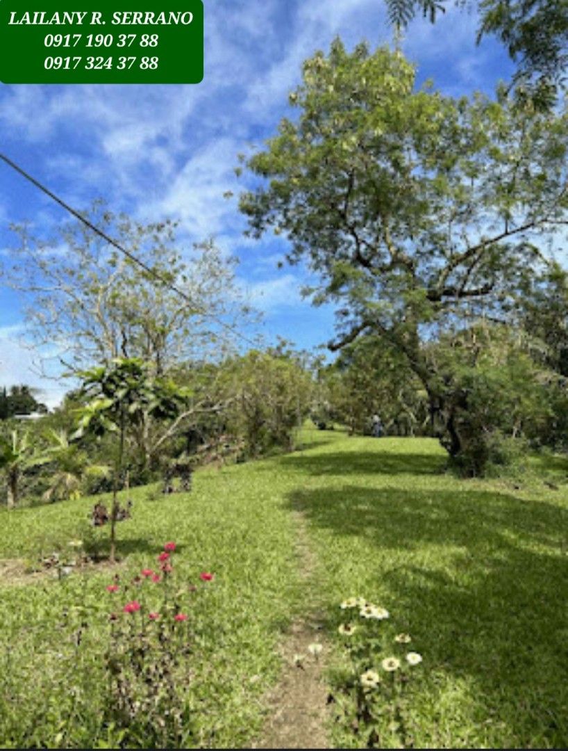 NEW! Tagaytay Overlooking Lot for Sale, Property, For Sale, Lot on