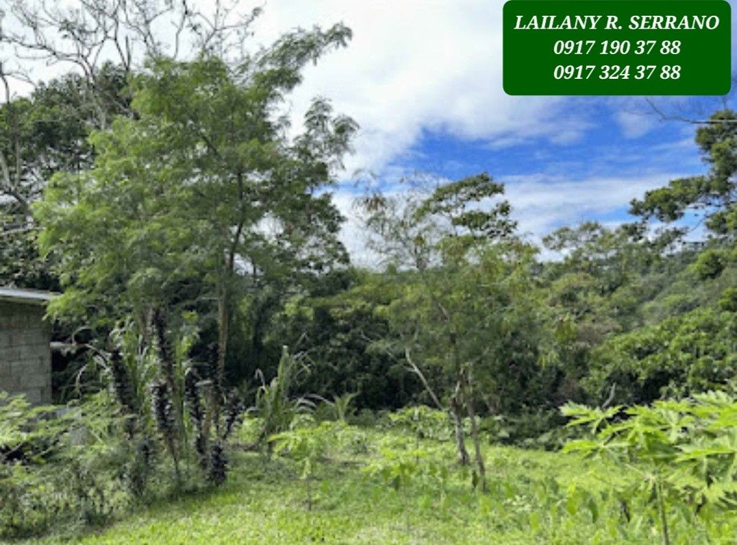 NEW! Tagaytay Overlooking Lot for Sale, Property, For Sale, Lot on