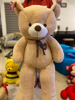 Teddy bear long size price sale