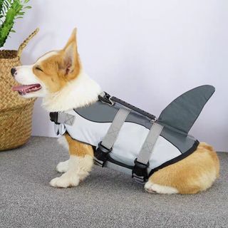 °☆ 珮齊精品舖 ☆° 寵物救生衣 鯊魚款泳衣 狗狗泳衣 寵物安全服 M+