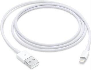 Apple Lightning to USB Cable 1m