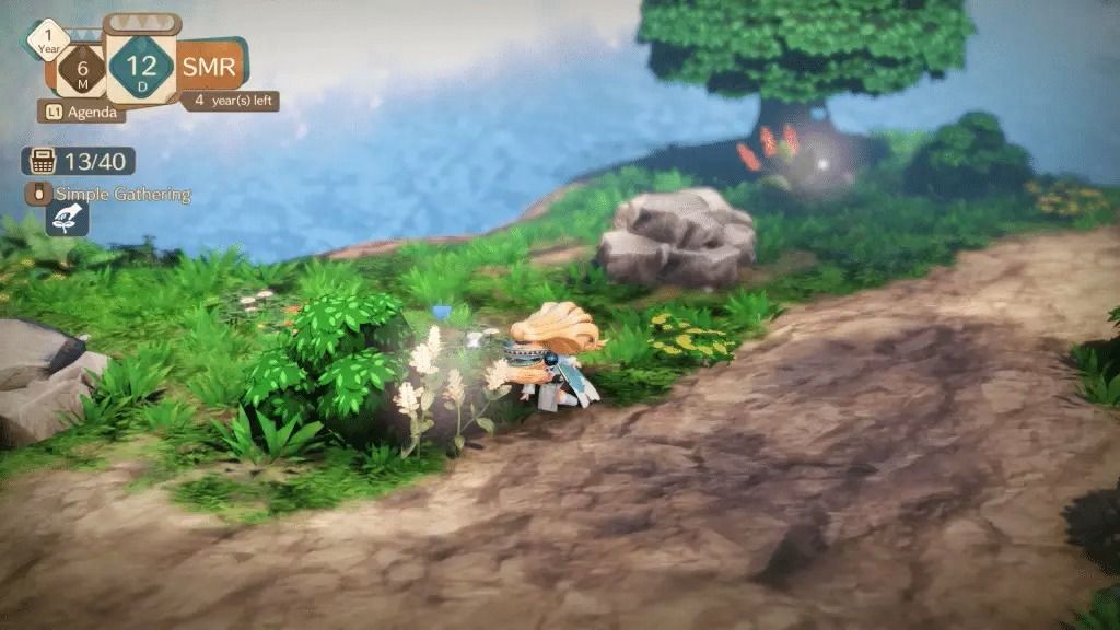 Viridian Forest Pokemon Let's Go Pikachu Pokemon World